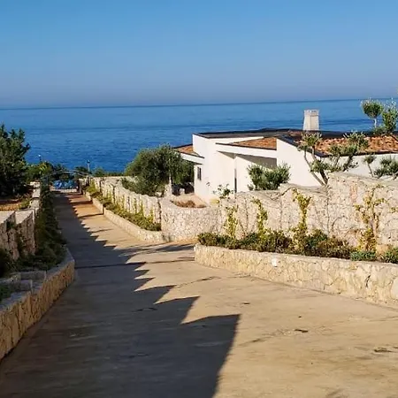 Gardenia - 003 Vlore