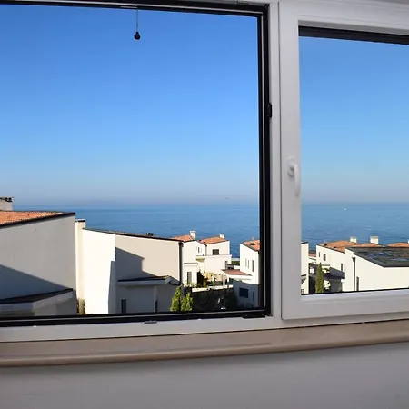 Gardenia - 003 * Vlore